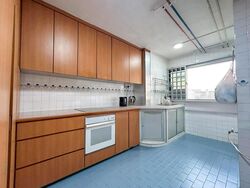 Blk 137 Eunos Spring (Bedok), HDB Executive #474668281